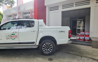 nguyên nhân nứt tường và hướng sử lý vết nứt 